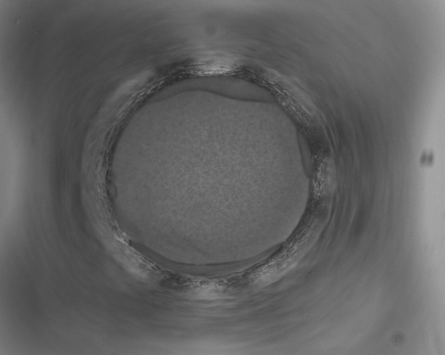 X0000116511441201001201435