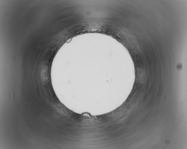 X0000116511442201001201435