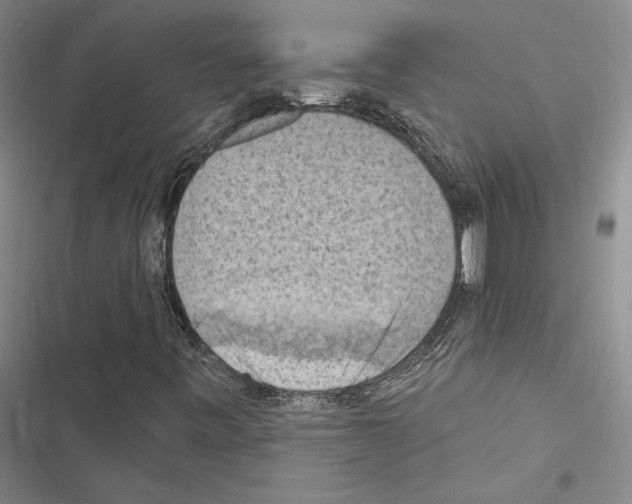 X0000116511443201001201435