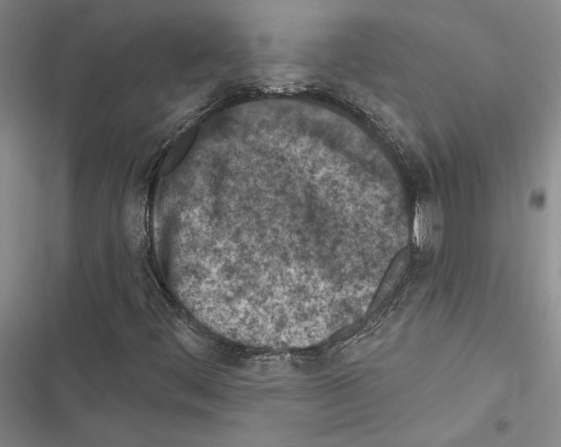 X0000116511444201001201435