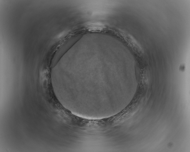 X0000116511445201001201435