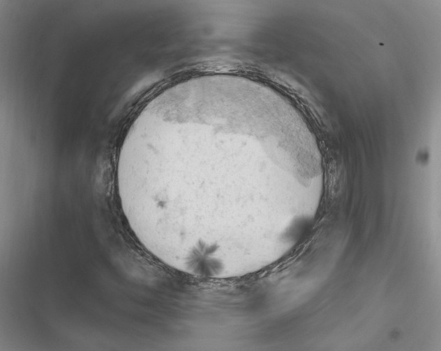 X0000116511446201001201435