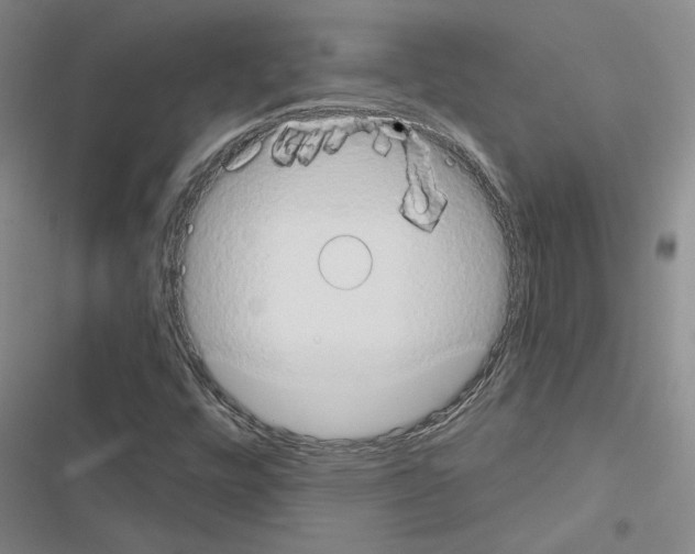 X0000116511448201001201435