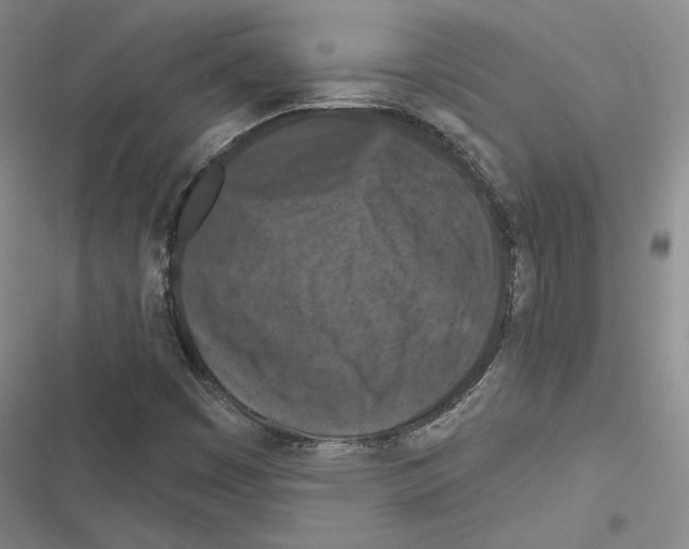 X0000116511449201001201435