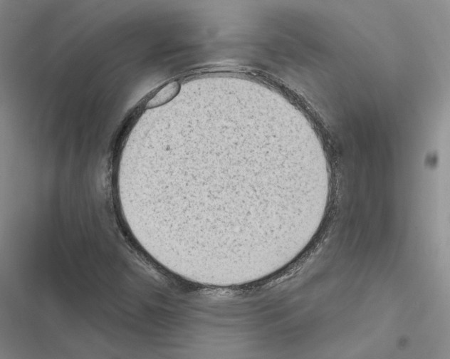 X0000116511450201001201435