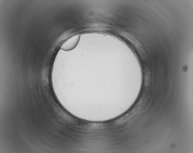 X0000116511451201001201435