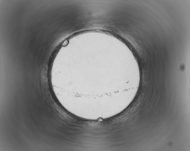 X0000116511452201001201435