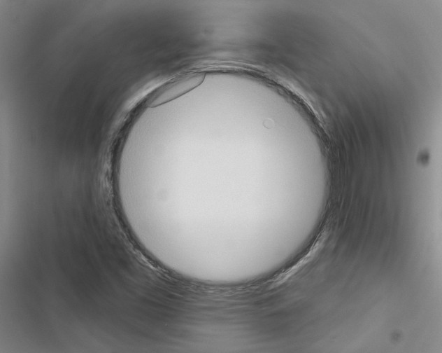 X0000116511453201001201435