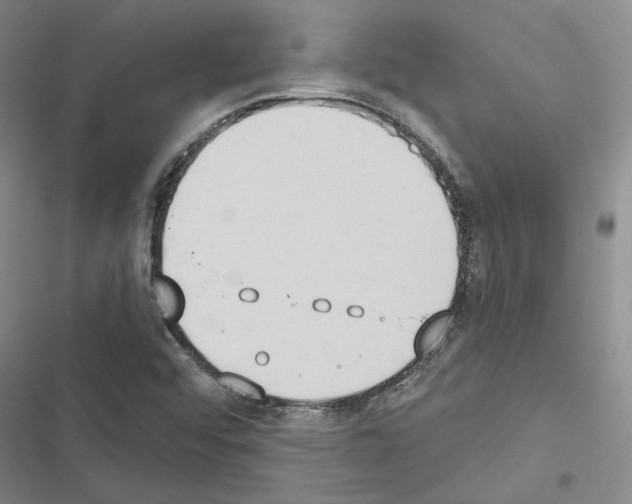 X0000116511456201001201435