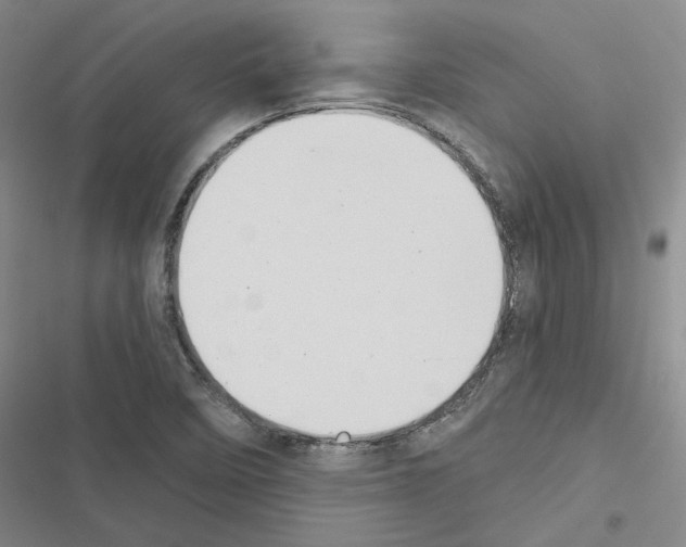 X0000116511458201001201435