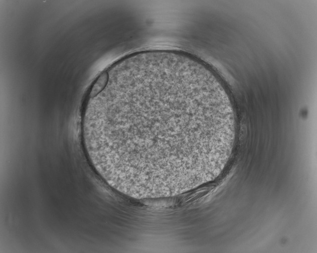 X0000116511461201001201435