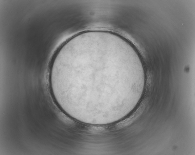 X0000116511462201001201435