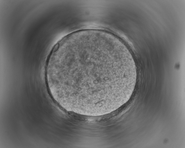 X0000116511463201001201435