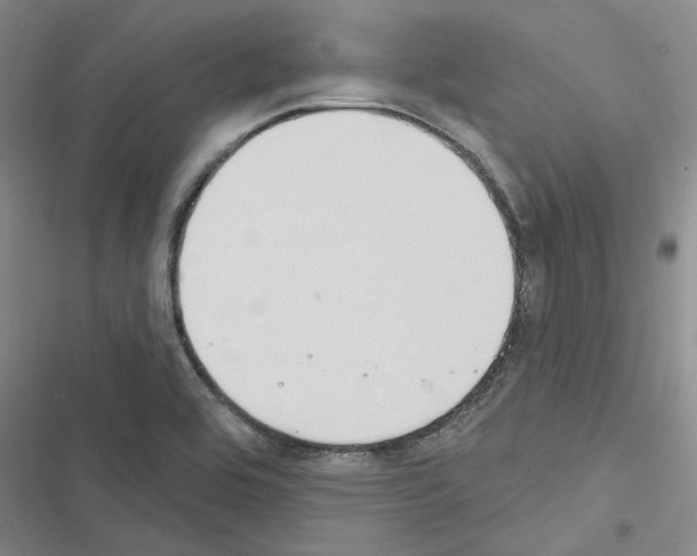 X0000116511464201001201435