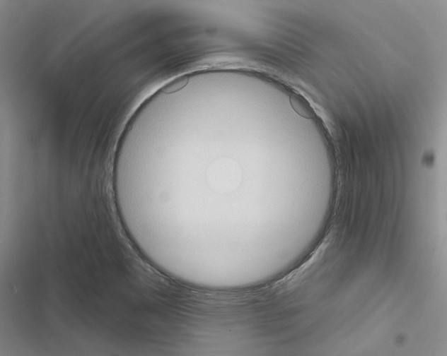 X0000116511465201001201435