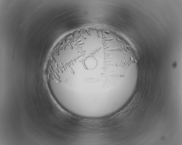 X0000116511468201001201435