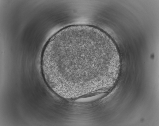 X0000116511469201001201435