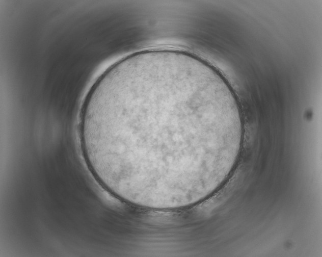 X0000116511470201001201435