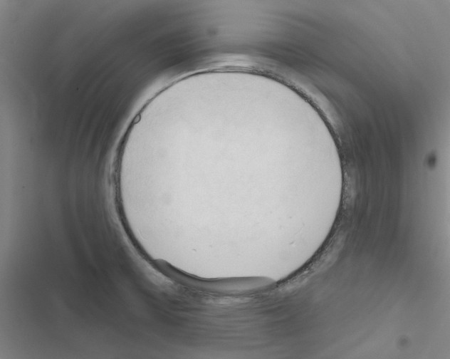 X0000116511475201001201435