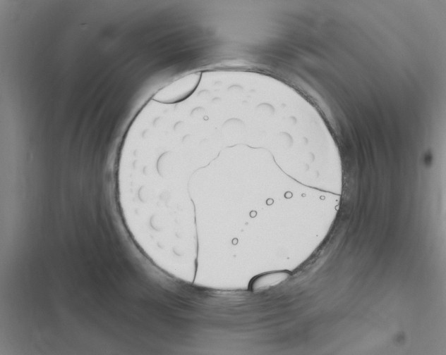 X0000116511483201001201435