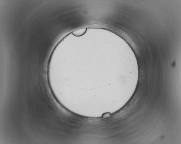 X0000116511484201001201435