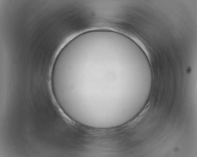 X0000116511485201001201435