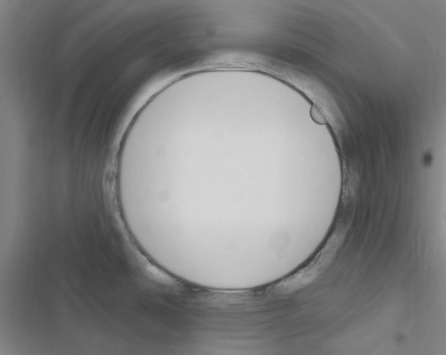 X0000116511486201001201434