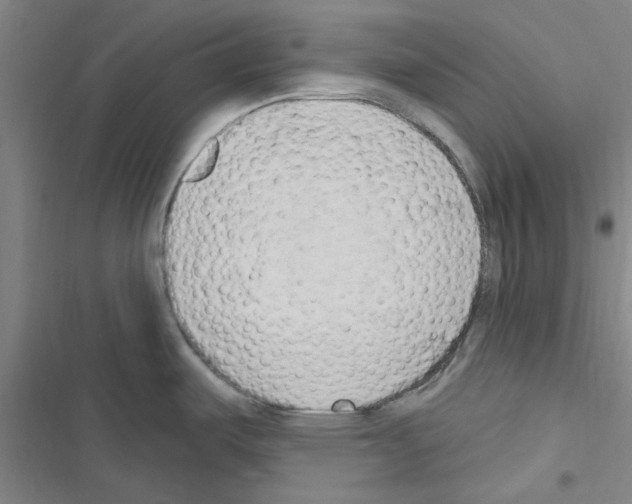 X0000116511487201001201434