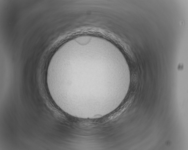 X0000116511489201001201434