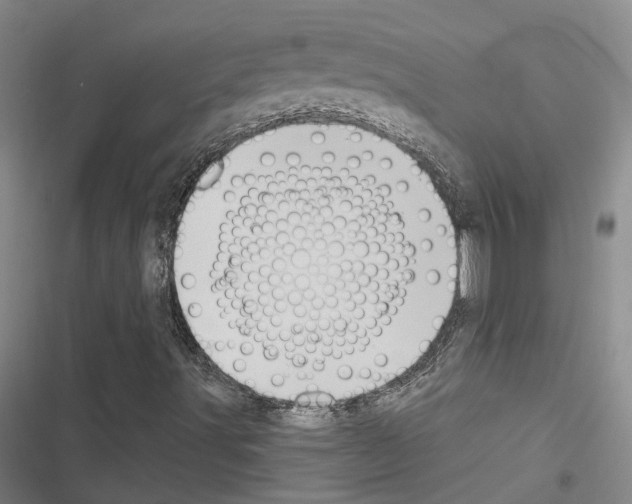 X0000116511491201001201434
