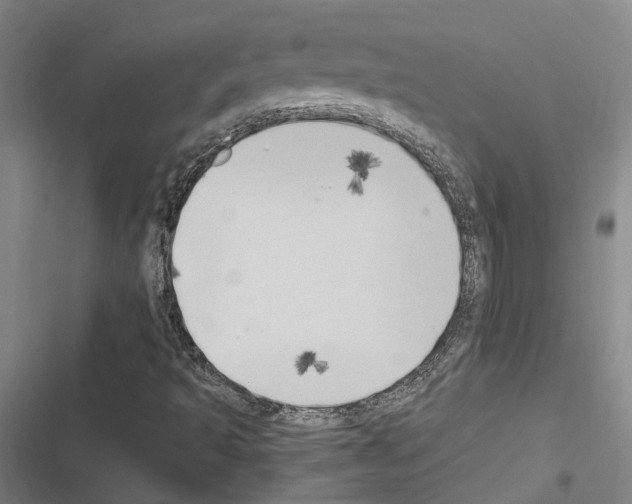 X0000116511493201001201434