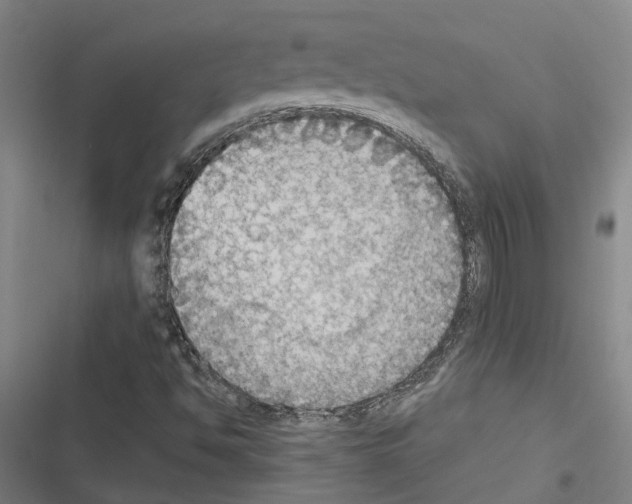 X0000116511494201001201434
