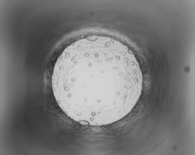 X0000116511495201001201434