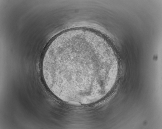 X0000116511497201001201434