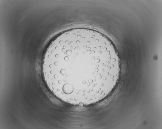 X0000116511499201001201434