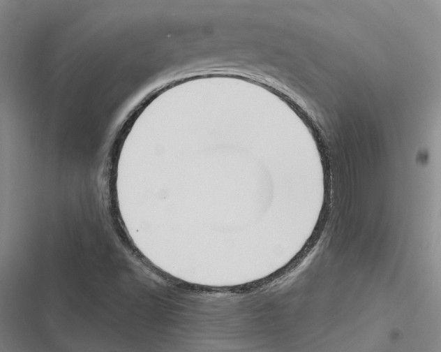 X0000116511502201001201434