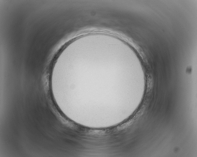 X0000116511503201001201434