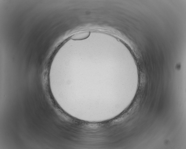 X0000116511507201001201434