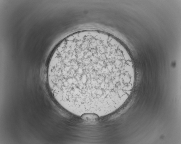 X0000116511509201001201434