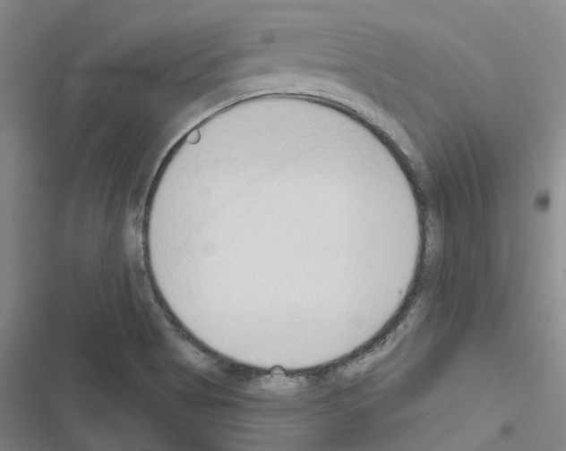 X0000116511513201001201434