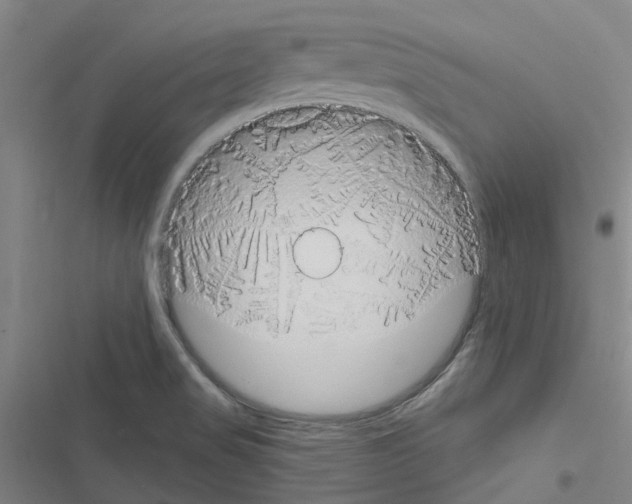 X0000116511517201001201434