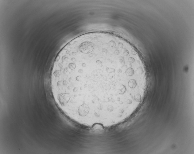 X0000116511521201001201434
