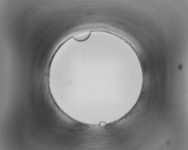 X0000116511526201001201434
