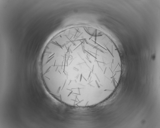 X0000116511527201001201434