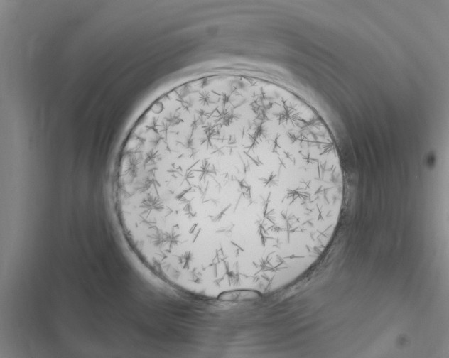 X0000116511531201001201434
