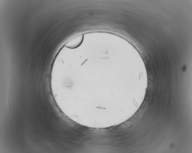 X0000116511534201001201434