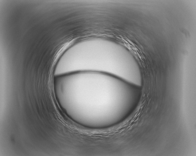 X0000116550003200912101012