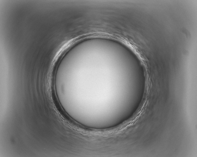 X0000116550007200912101012