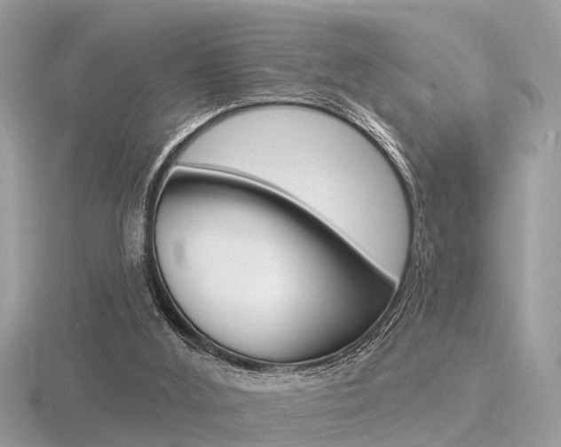 X0000116550012200912101012