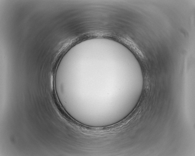 X0000116550014200912101012